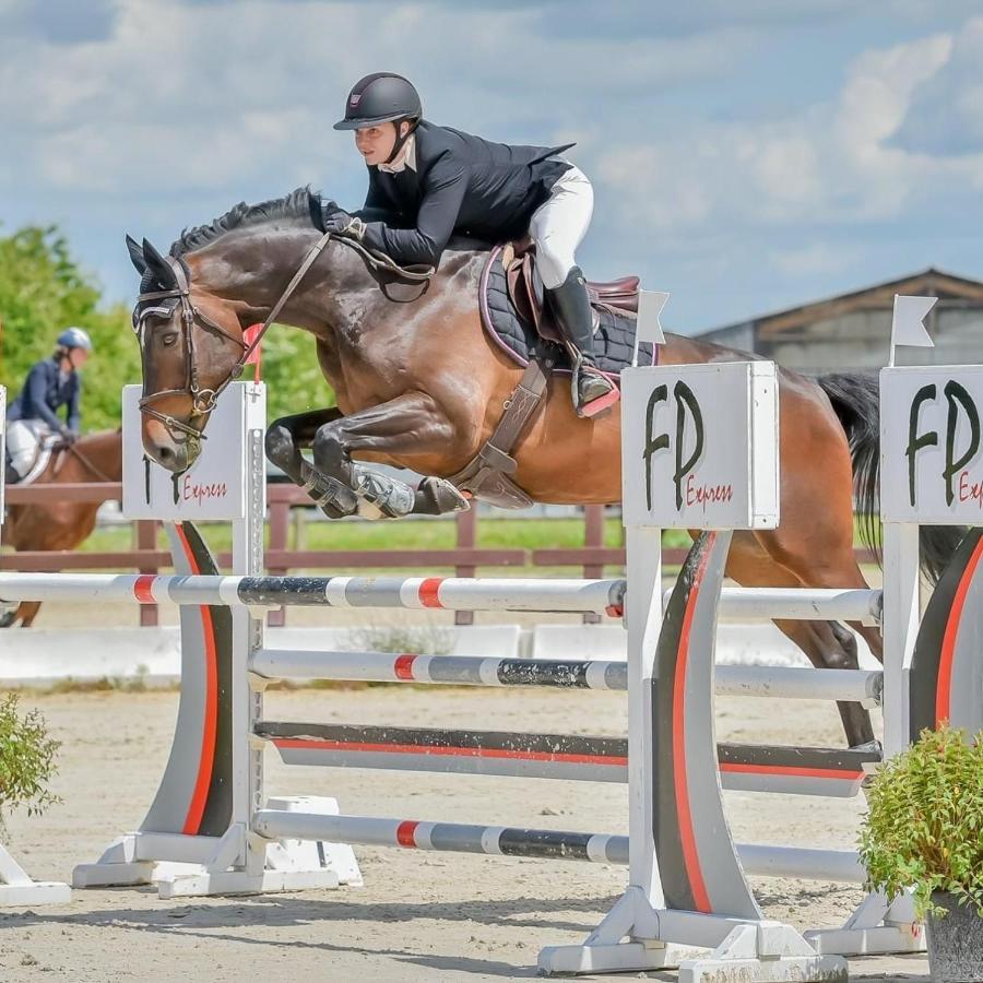 Gite Ecuries Vineuil Jump 6 Personnes Luaran gambar