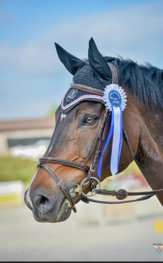 Gite Ecuries Vineuil Jump 6 Personnes Luaran gambar